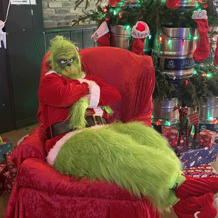 Family Photos with the Grinch