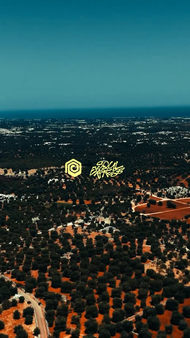 Polifonic Showcase