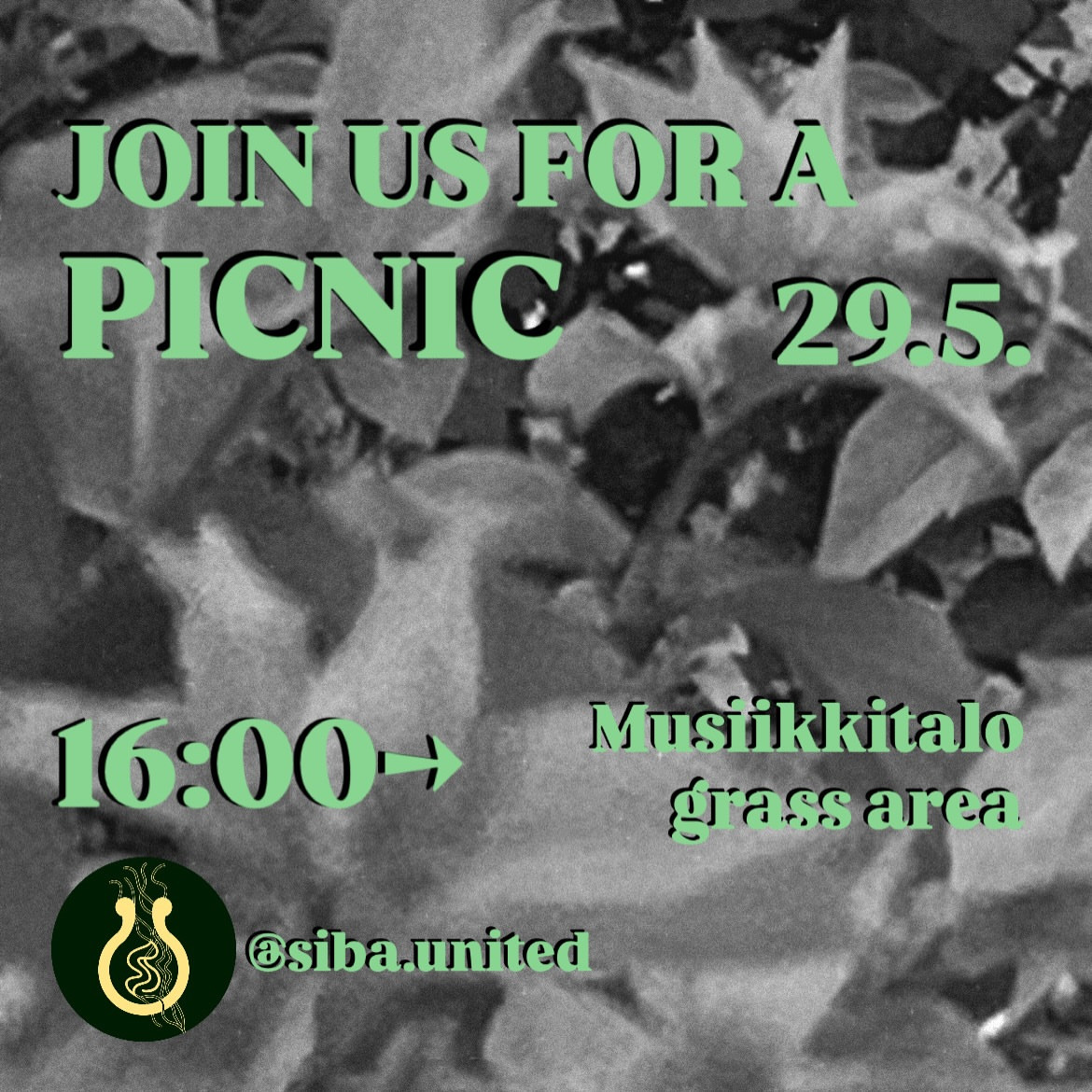 Summer Picnic