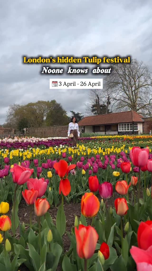 Tulip Festival