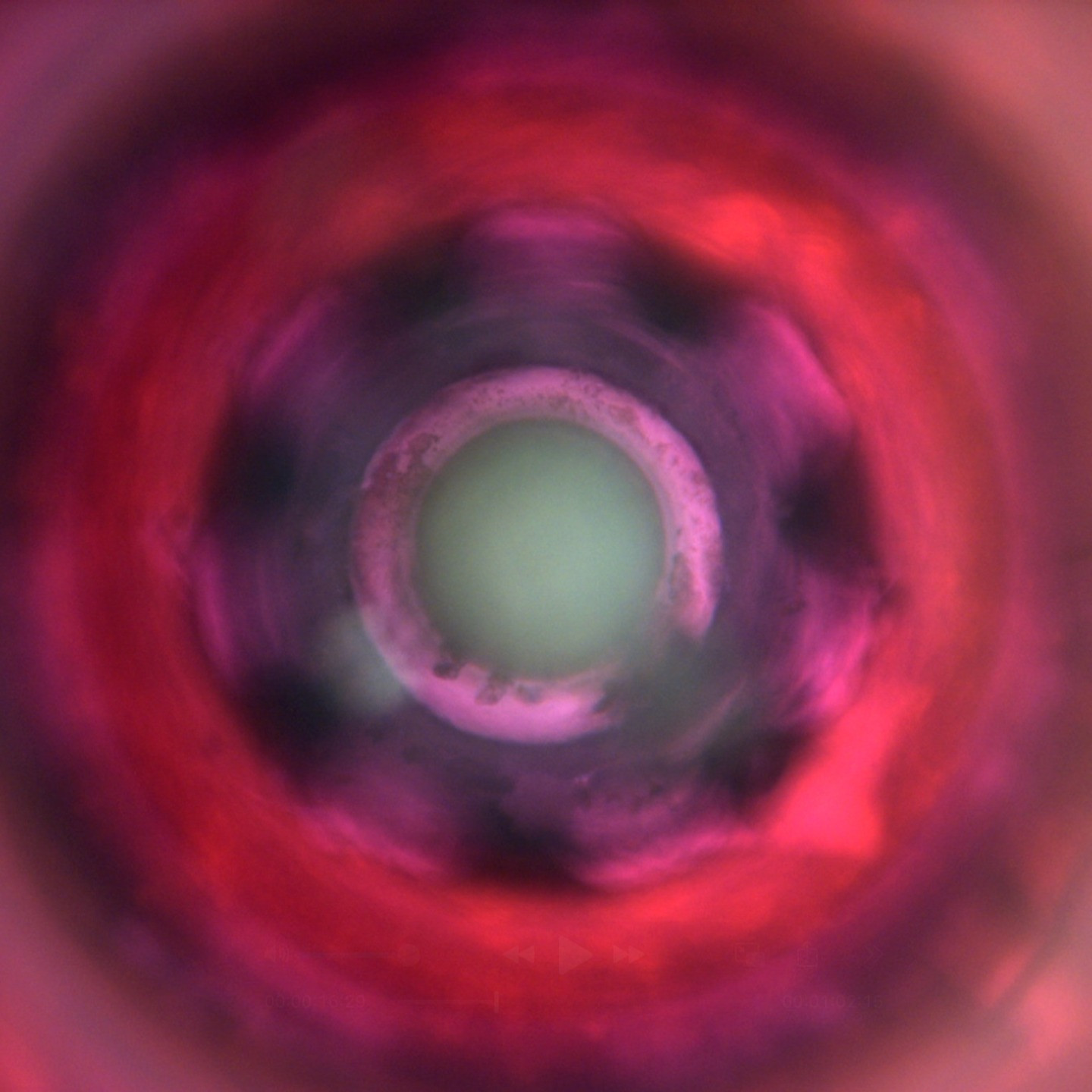 Audio-visual installations at Week of Sound 2026