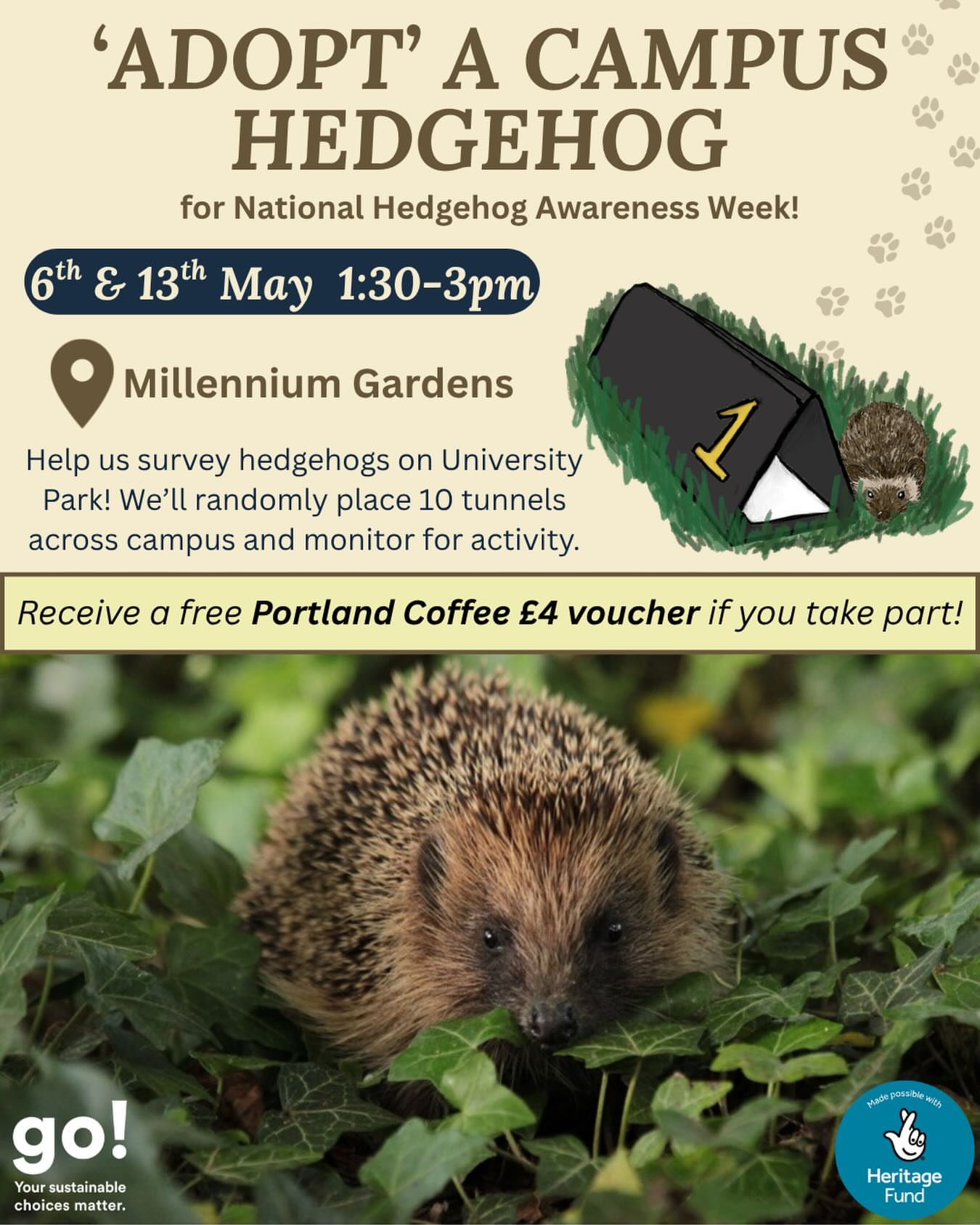 Hedgehog Survey