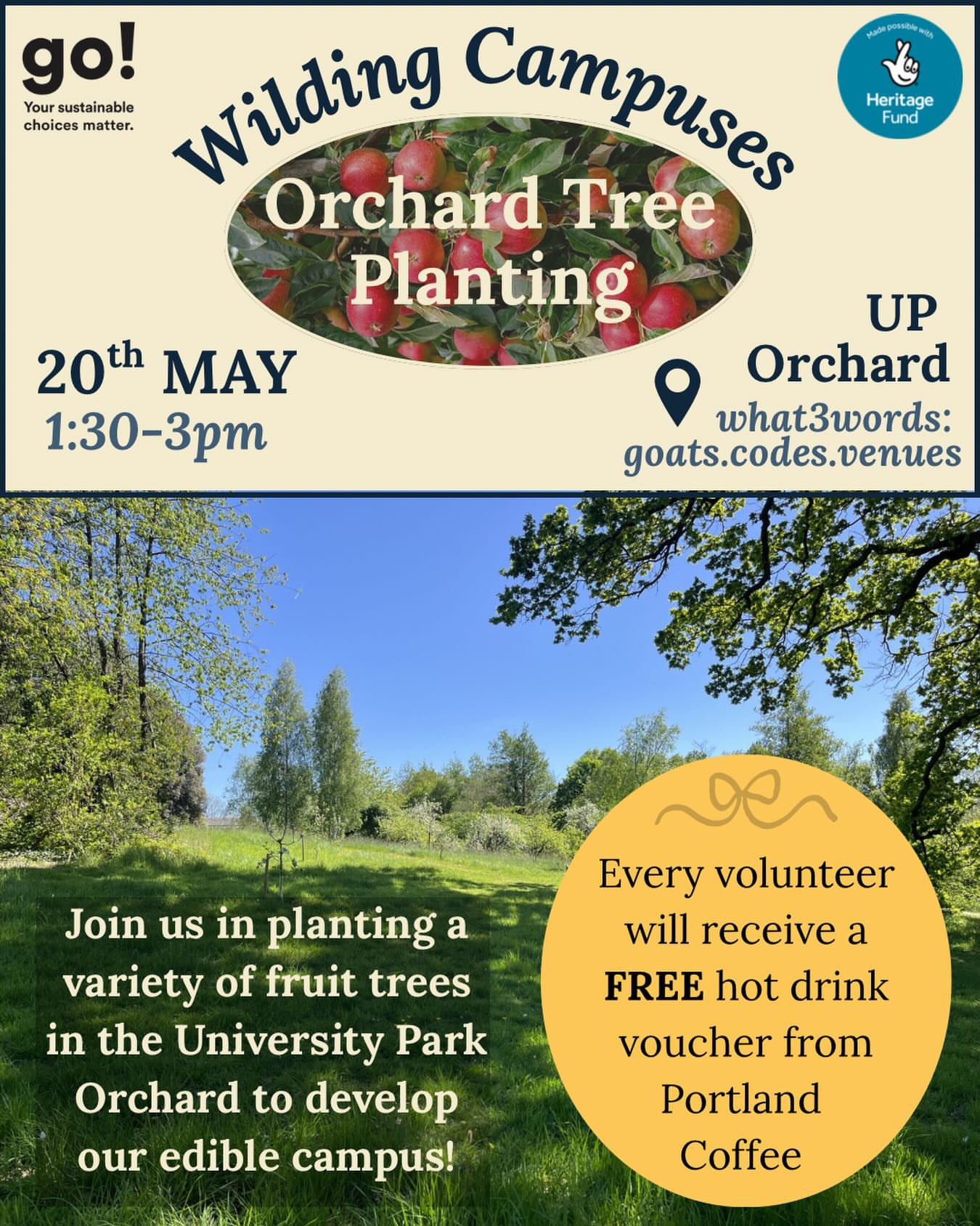 Fruit Tree Planting