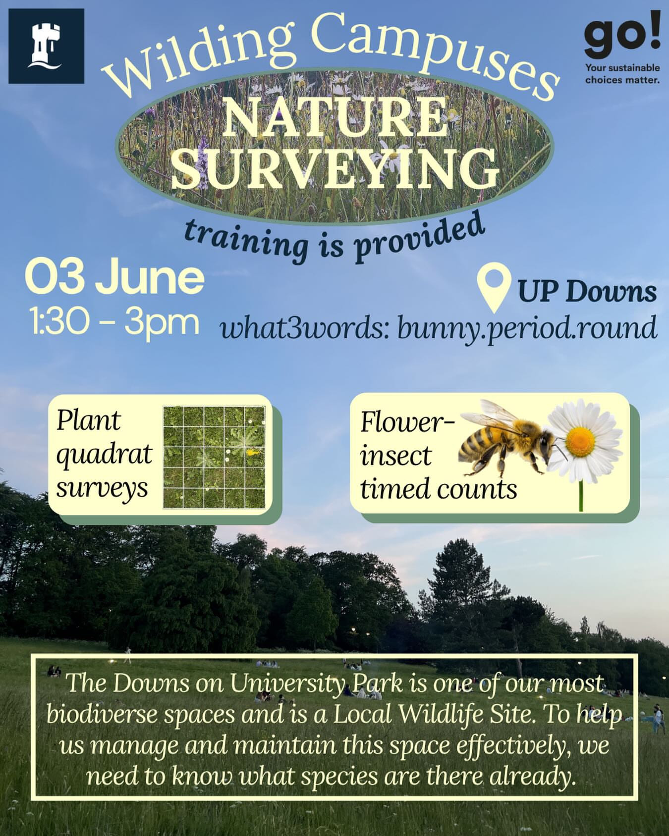 Nature Surveying on The Downs