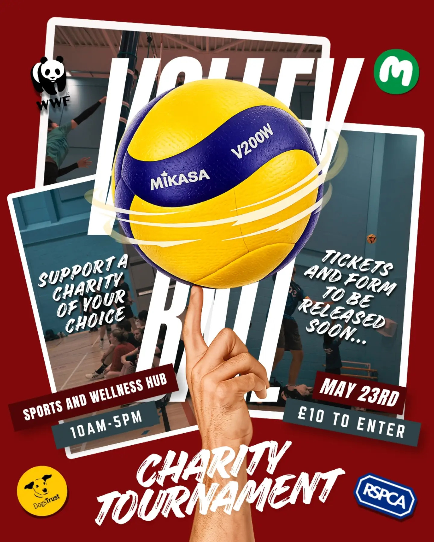 Charity Volleyball Tournament