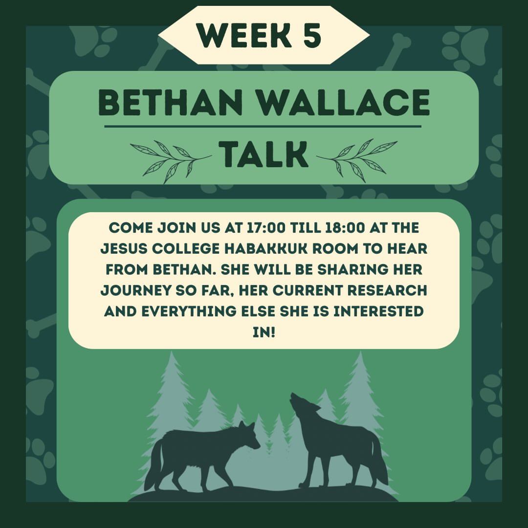 Bethan Wallace Talk