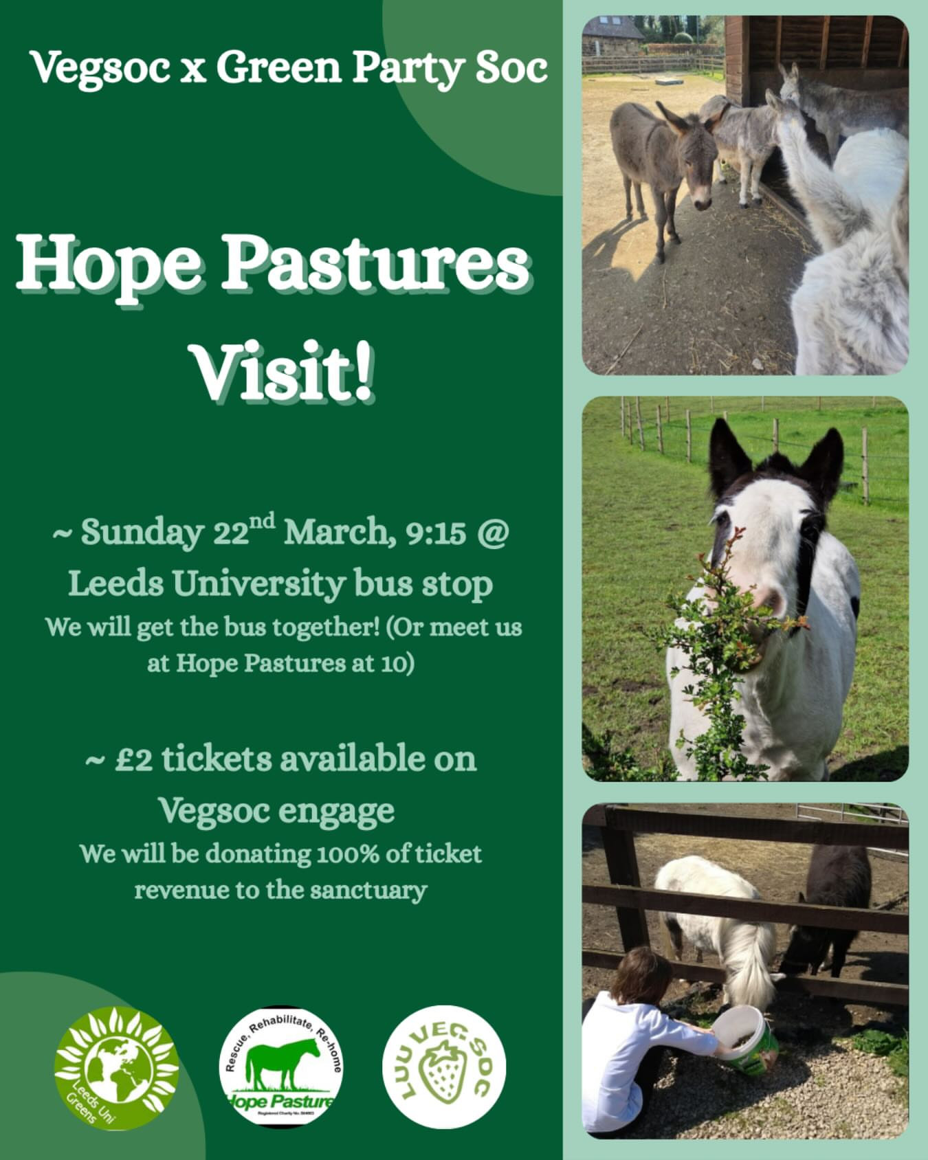 Hope Pastures Visit!