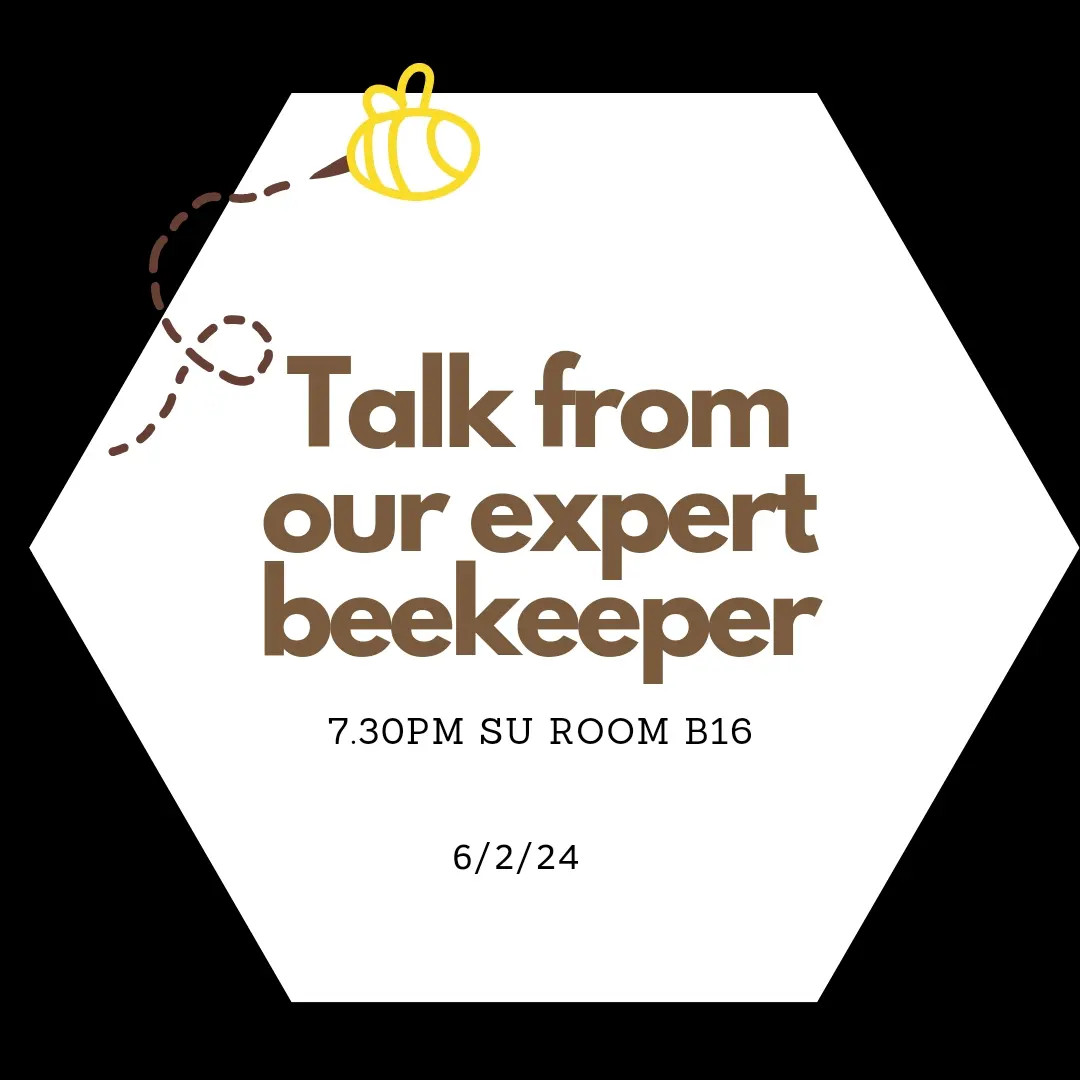 Talk from our expert beekeeper