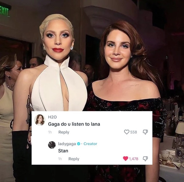 Lana Del RAVE presents: Born to Die / Born This Way