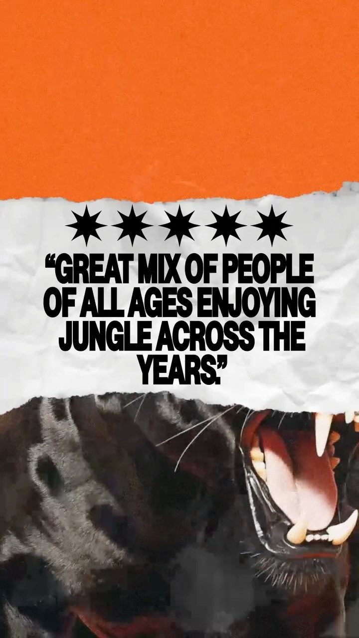 The History of Jungle