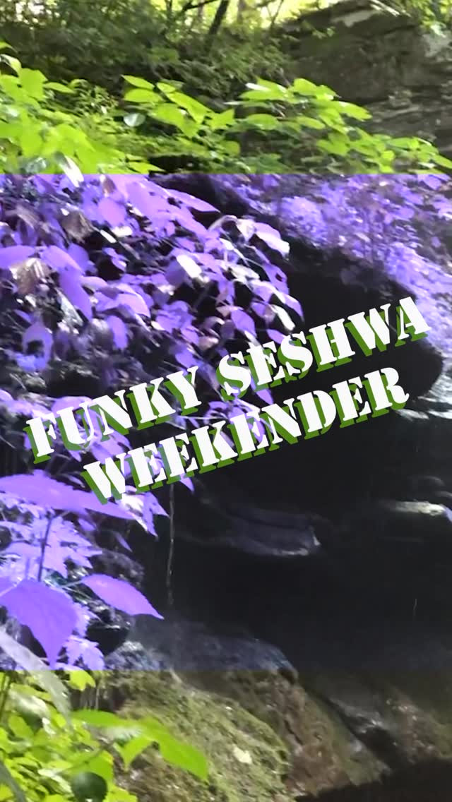 Funky Seshwa Weekender