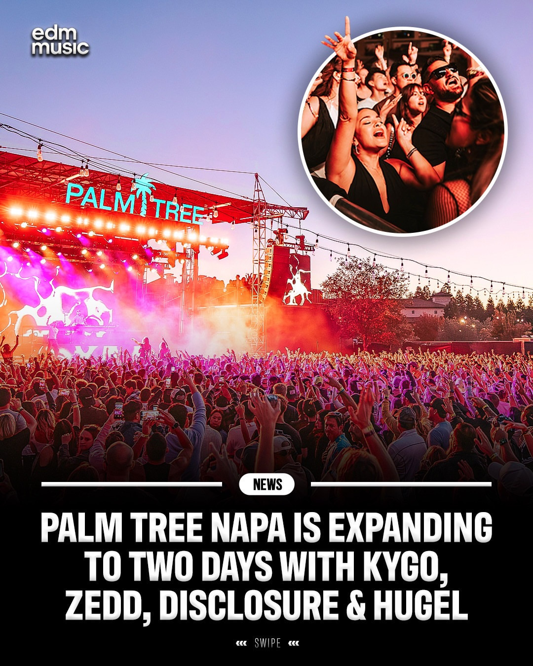 Palm Tree Festival Napa
