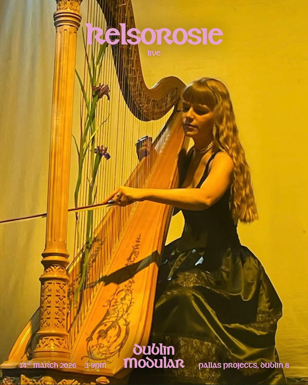 Dublin Modular 'Catch of the Day' Live Electronic Artists
