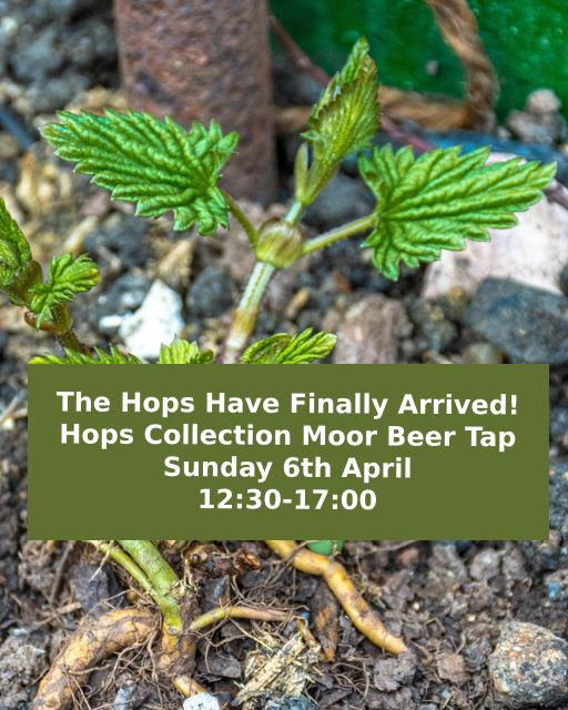Hops Collection