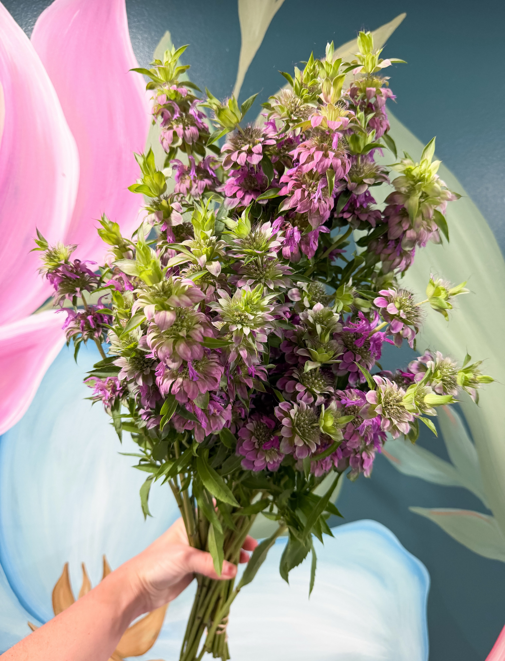 Bristol Bloom Collective flower market