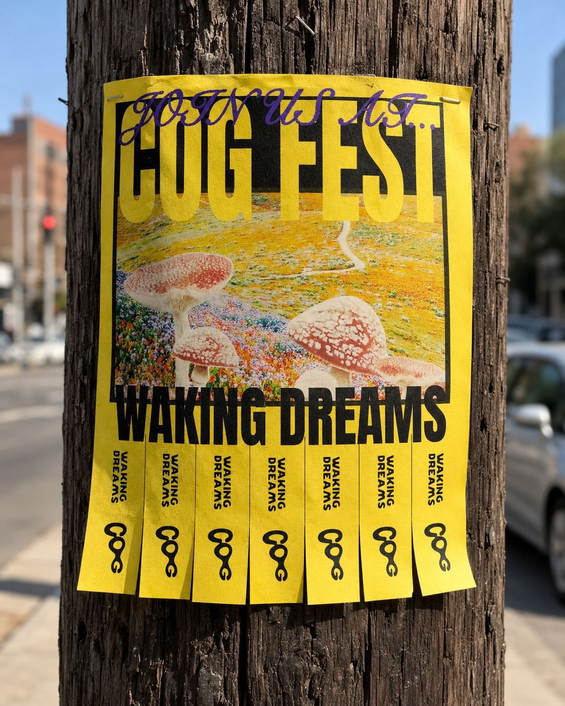 WAKING DREAMS COG FEST