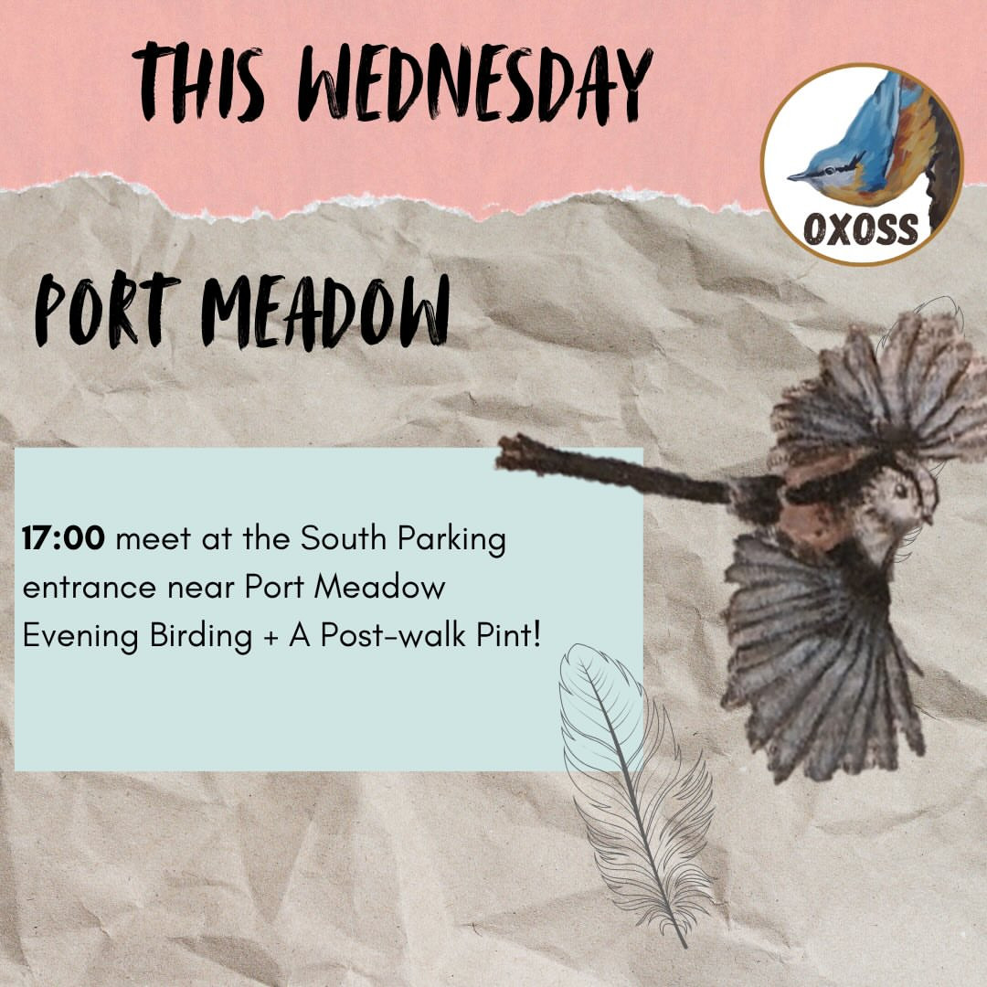 Port Meadow Walk and Pub Social