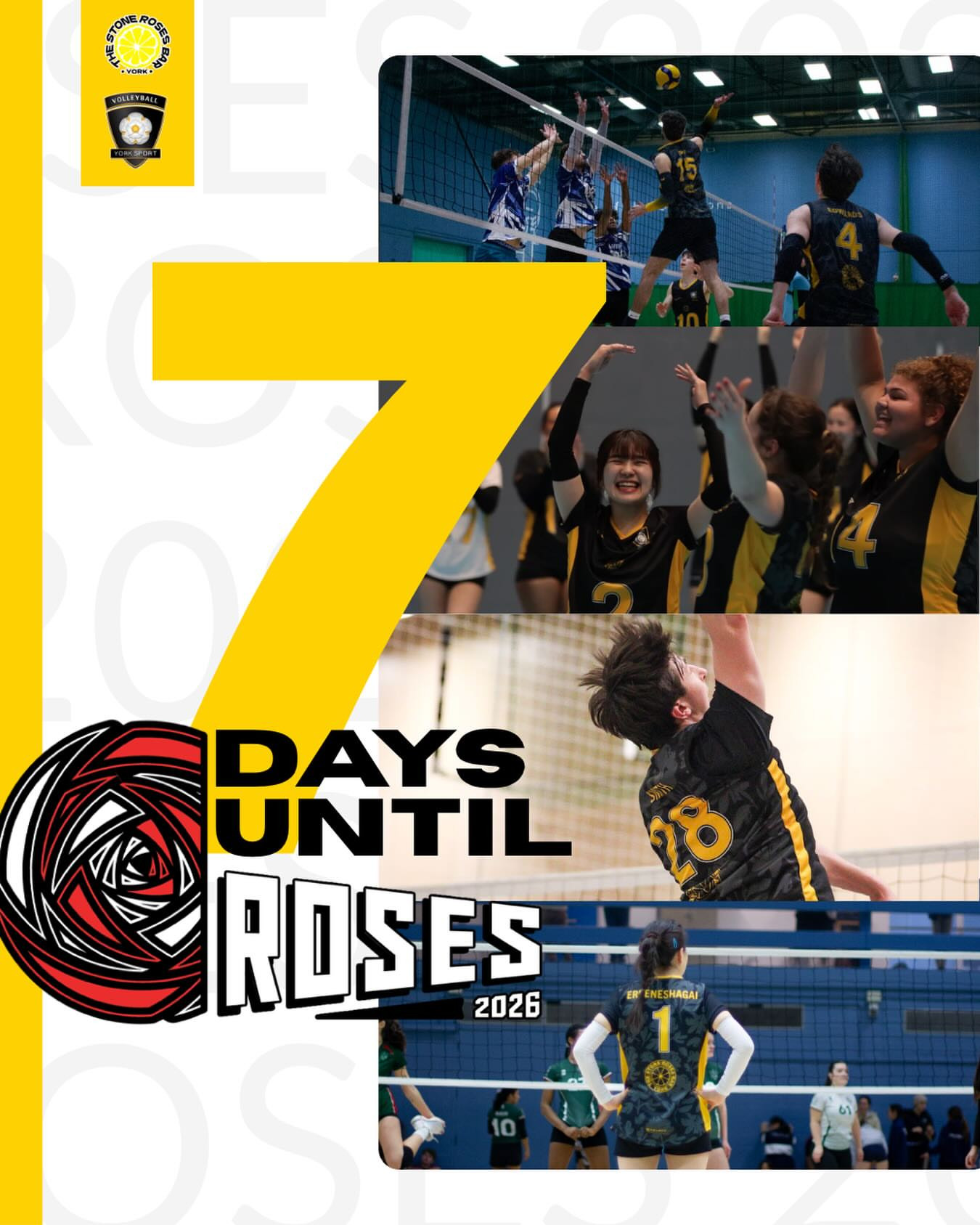 Roses Volleyball