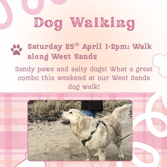 Dog Walk at West Sands