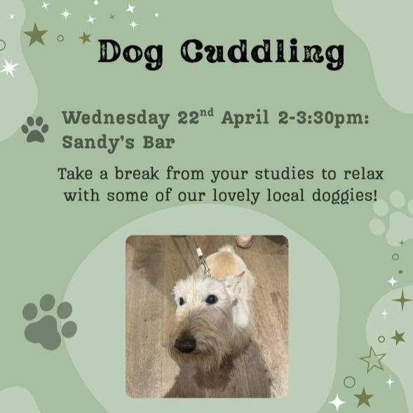 Dog Cuddling at Sandy's Bar