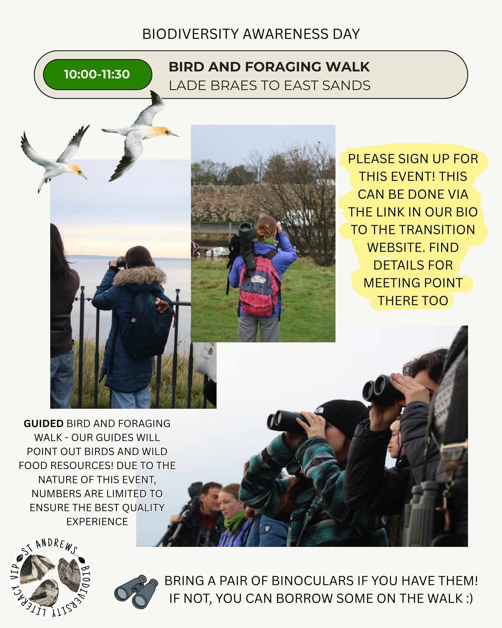 Guided bird and foraging walk