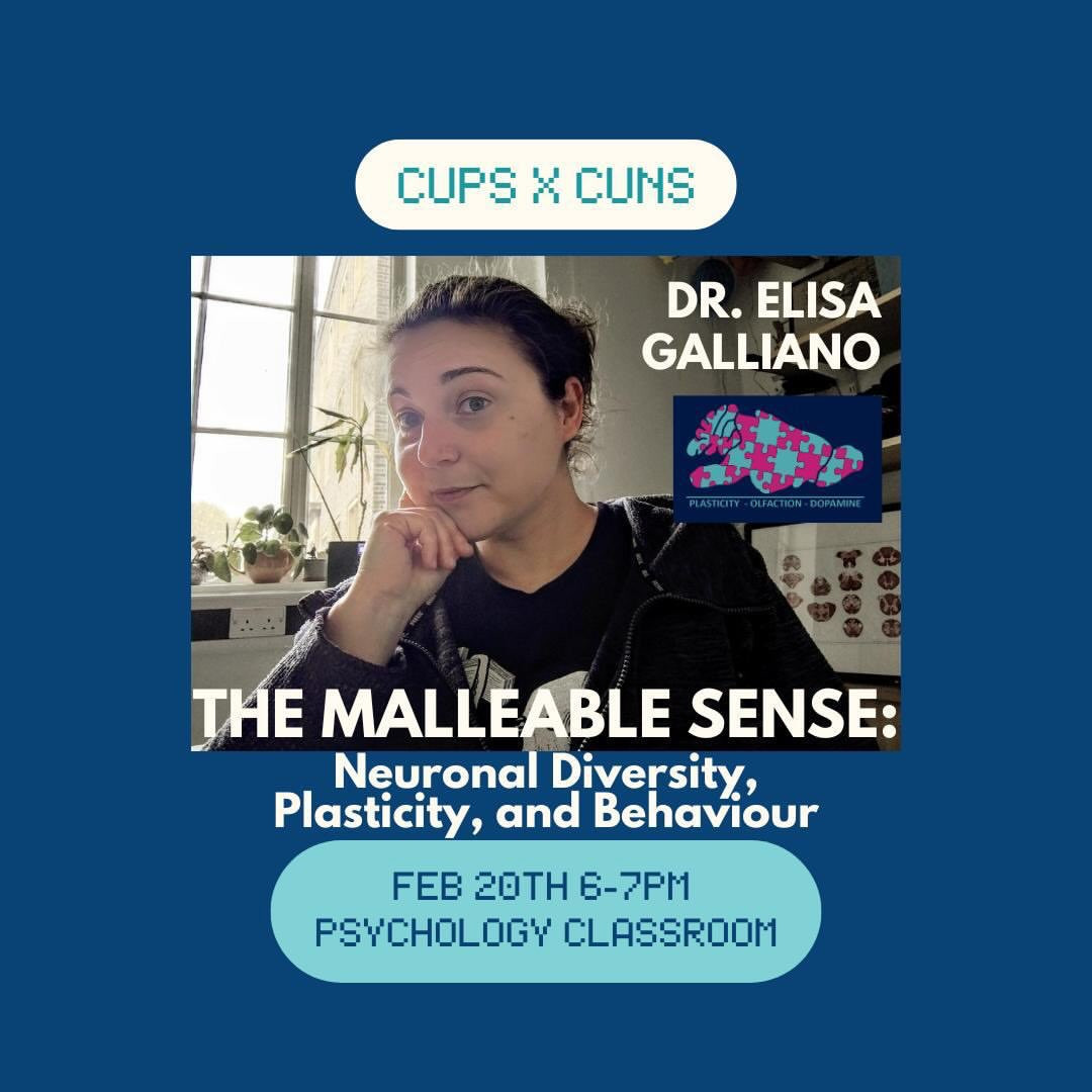 The Malleable Sense: Neuronal Diversity, Plasticity, and Behaviour