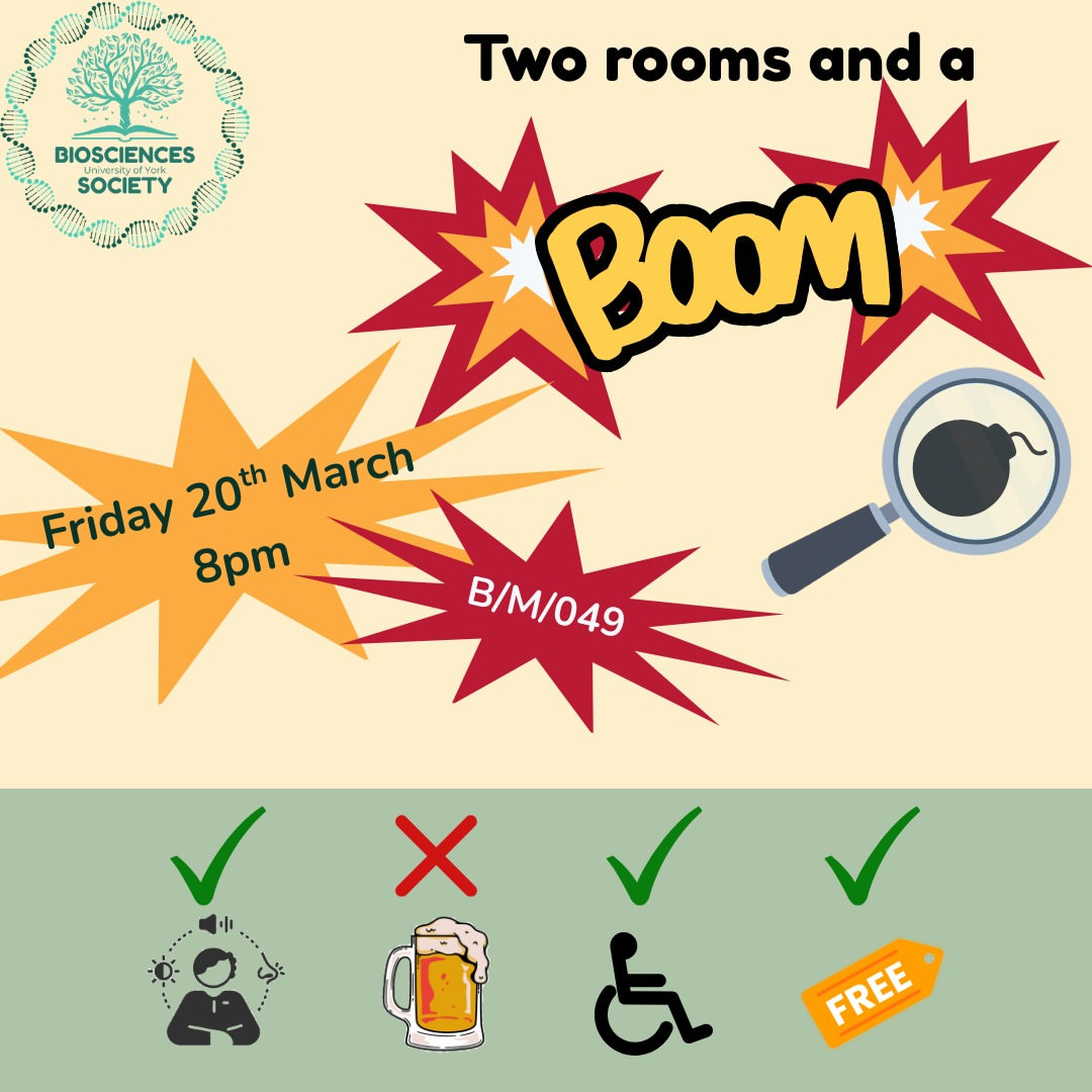 Two Rooms and a Boom