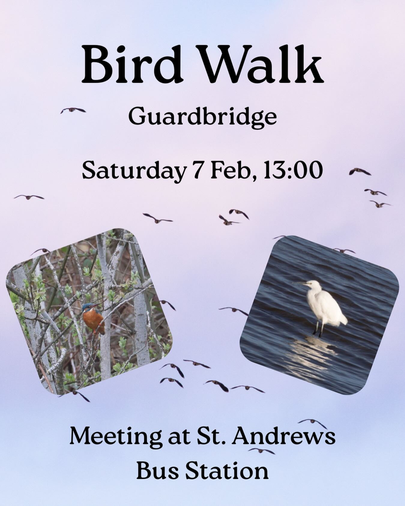 Bird Walk