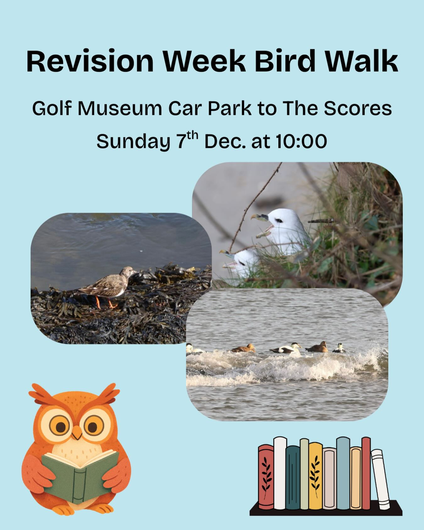 Revision Week Bird Walk