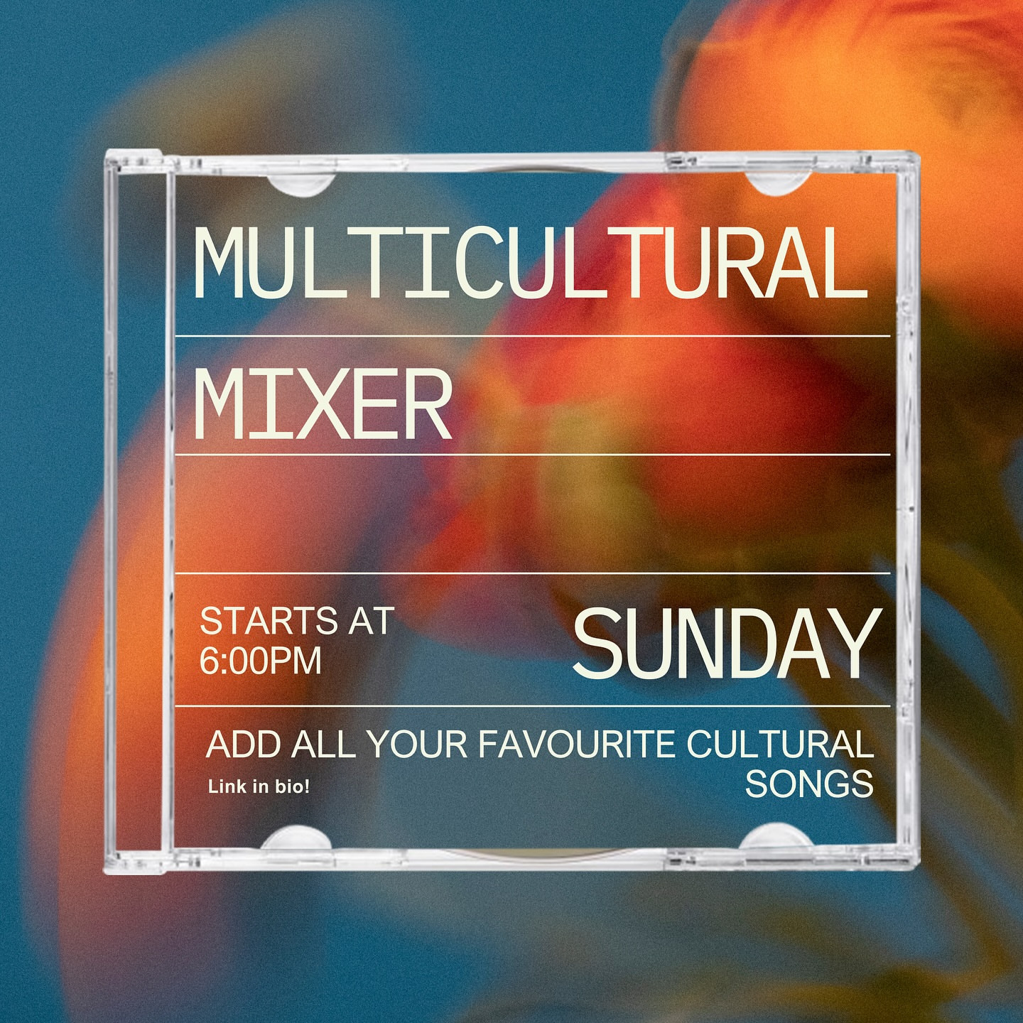 Multicultural Mixer