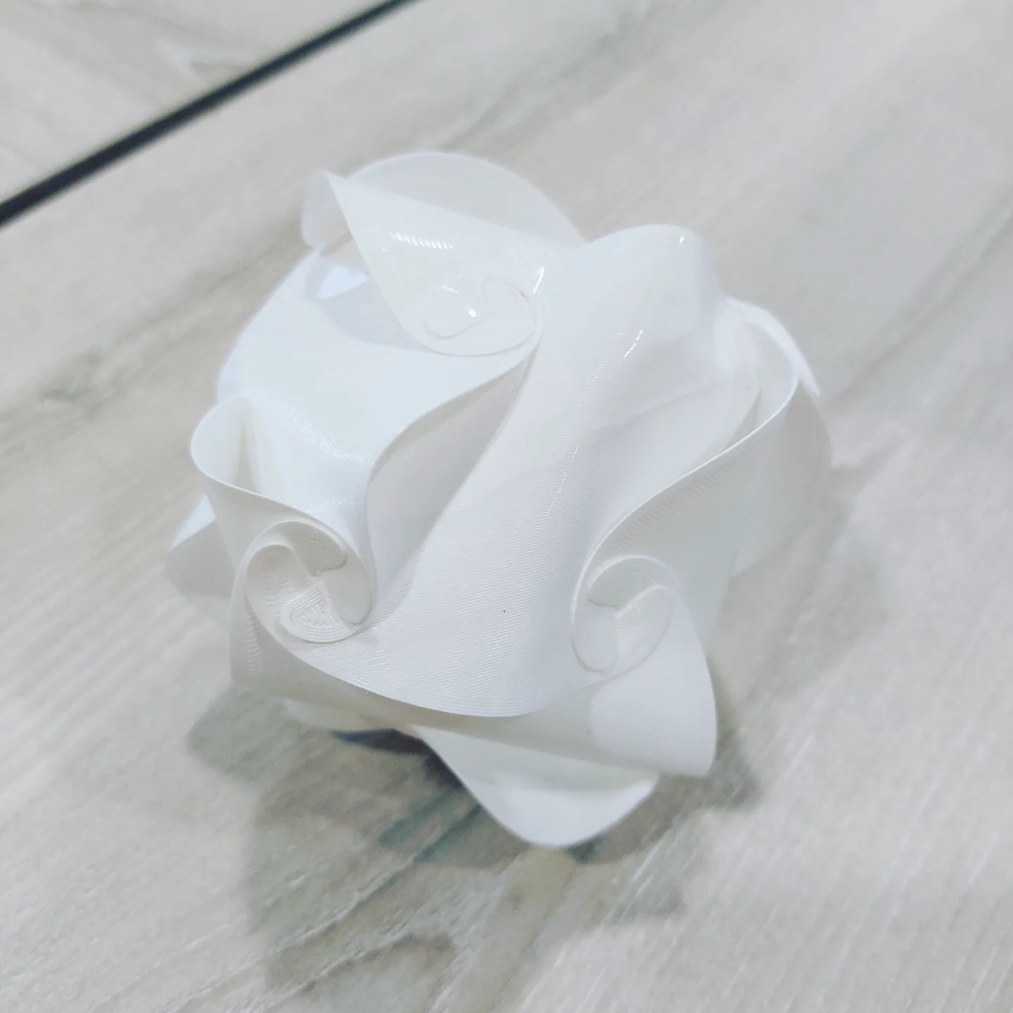 3D Printing Session