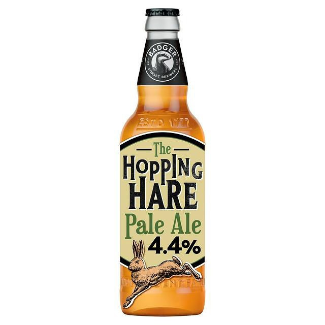 Novice Beer Tasting