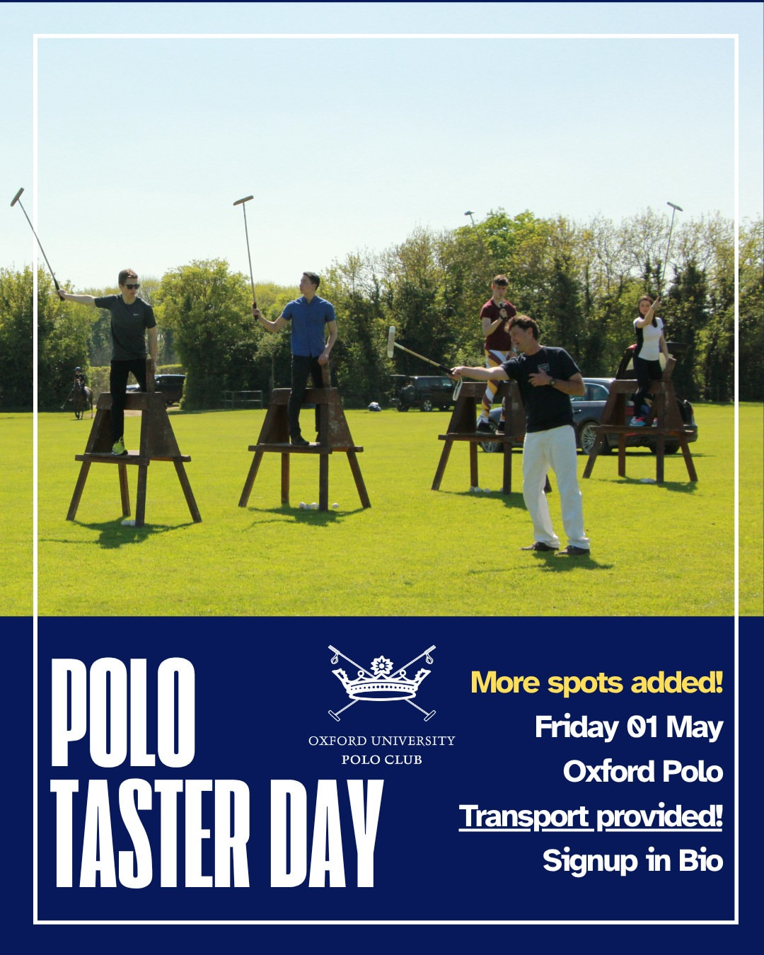Polo Taster Day