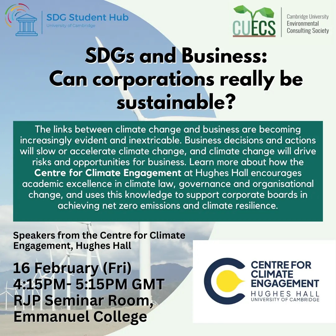 SDGs and Business: Can corporations really be sustainable?