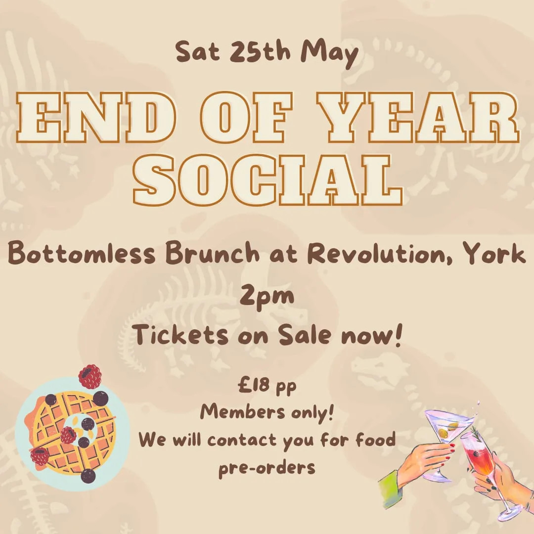 End of Year Social - Bottomless Brunch
