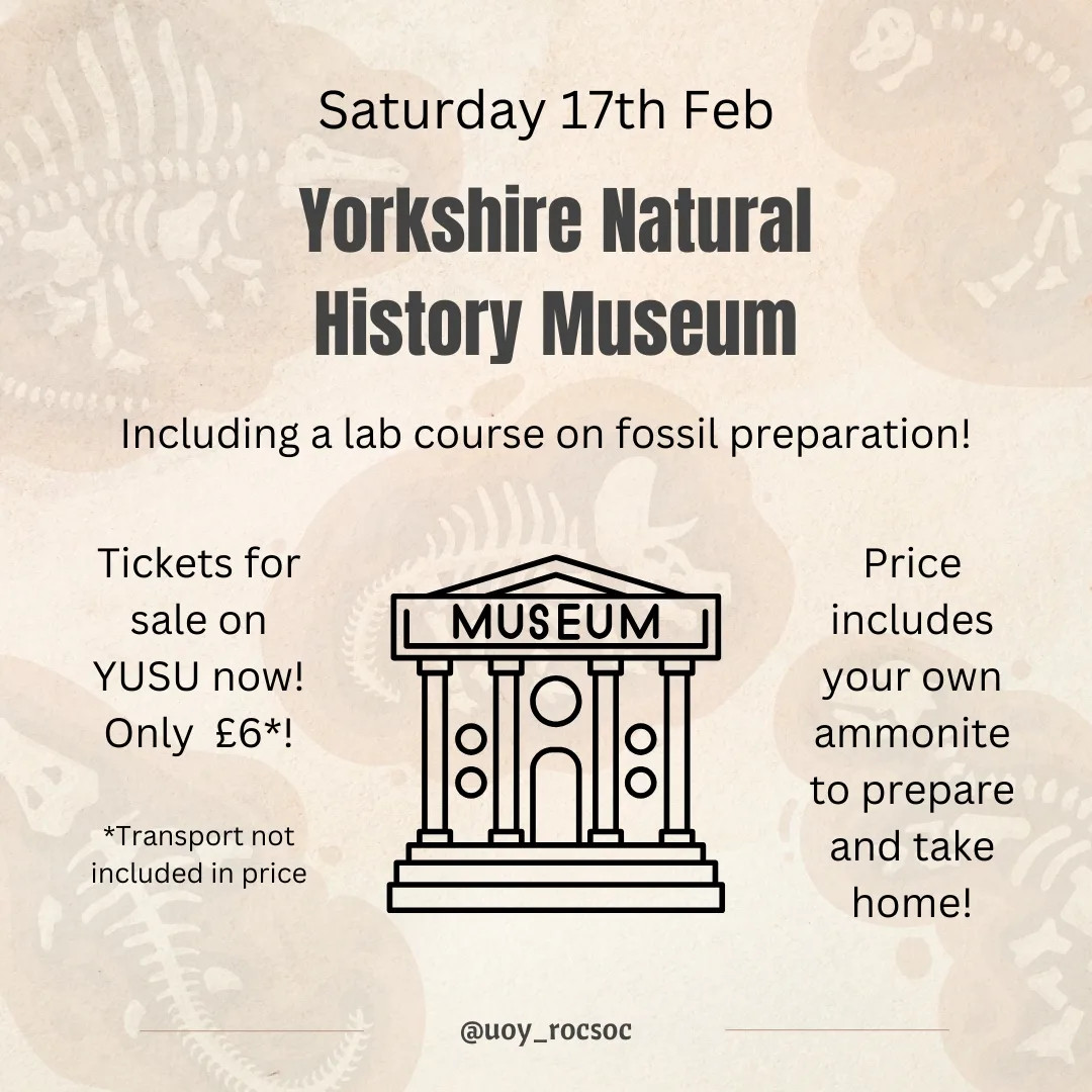 Yorkshire Natural History Museum Trip & Fossil Prep