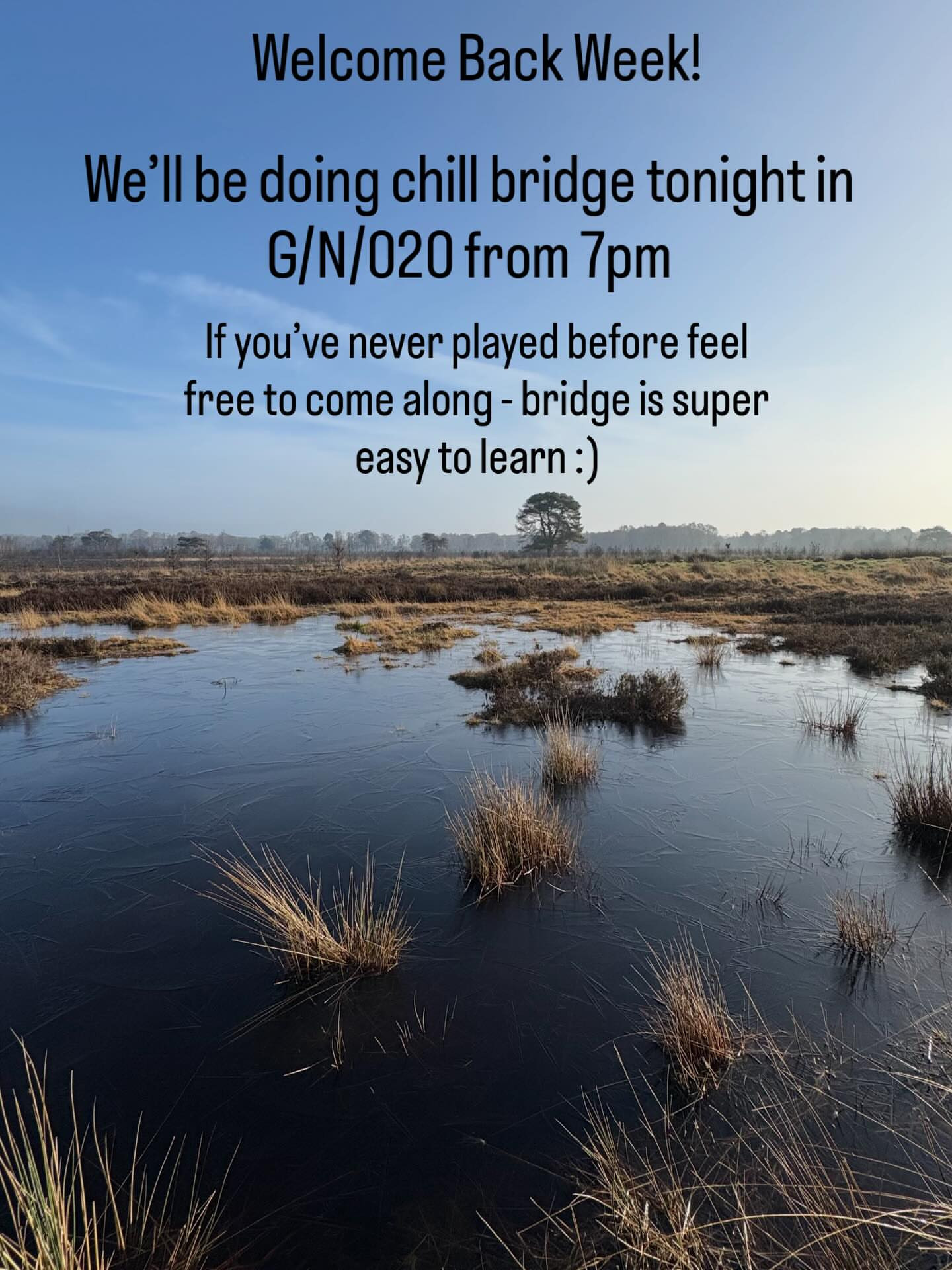 Chill Bridge Session