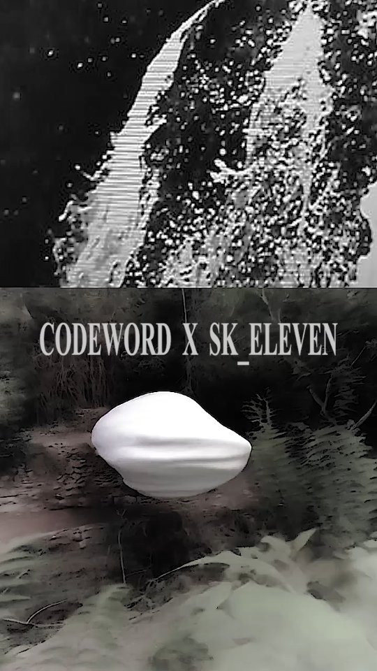 Codeword x SK_Eleven