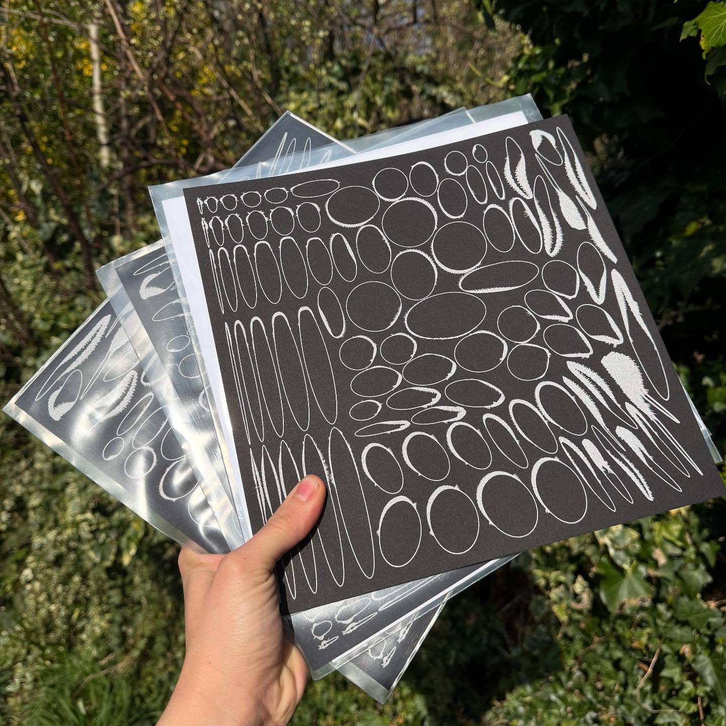 PHASE008 TC LK Release Party