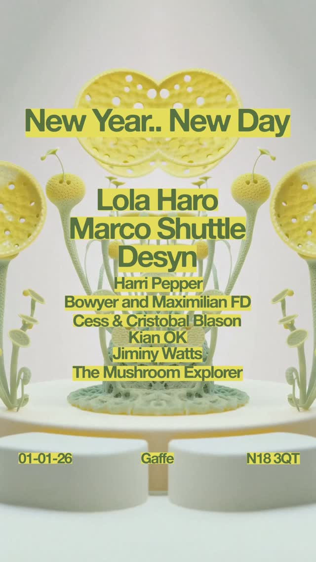 New Year's Day: Plurproject and Gaffe