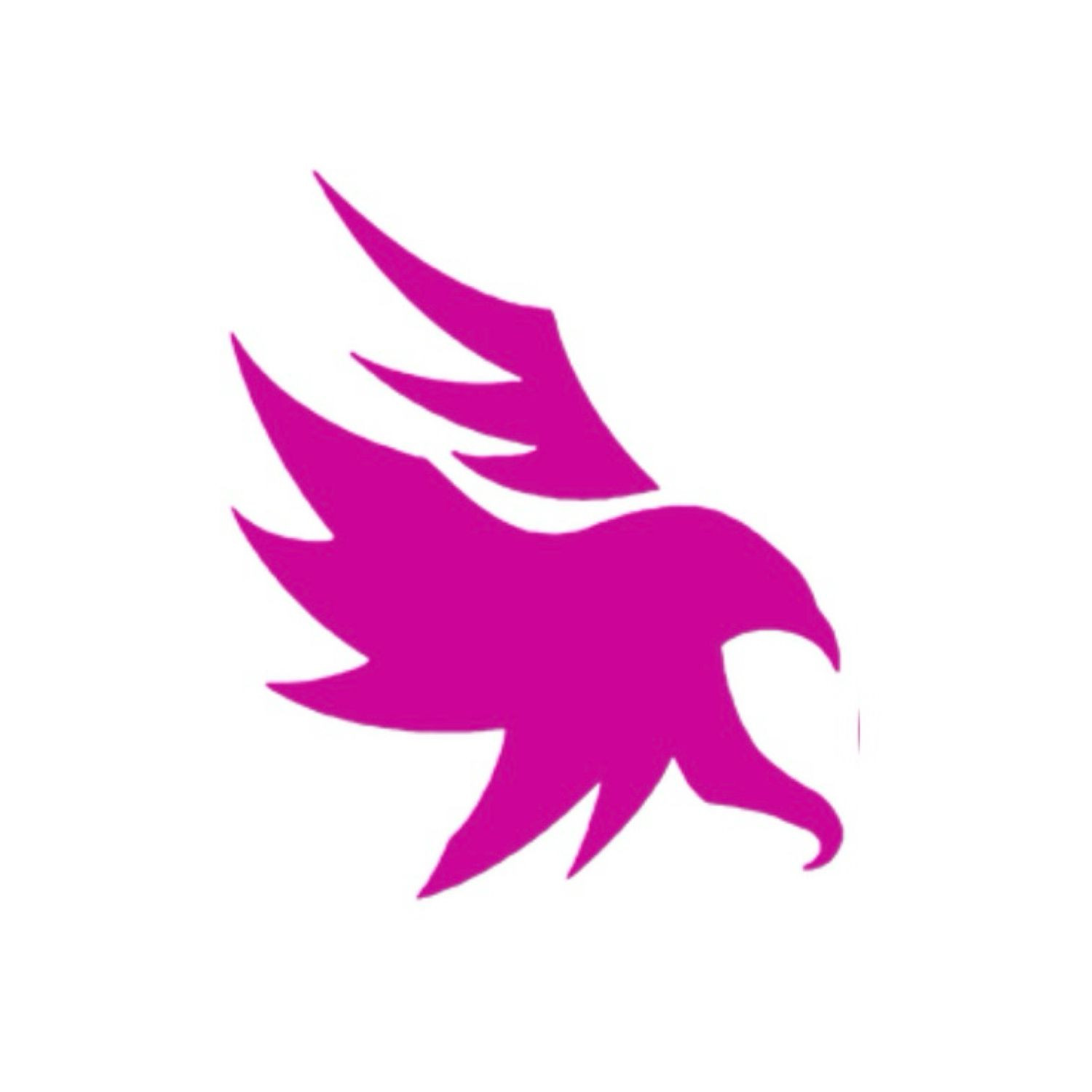 The Ospreys  