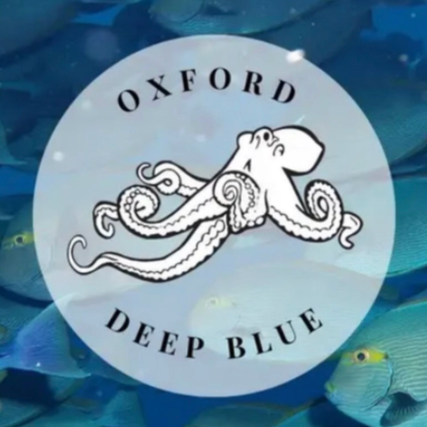 Oxford Deep Blue