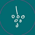 WineOnline.ie
