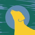 The Wonky Labrador
