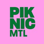Piknic Electronik