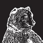 Studio Grizzly