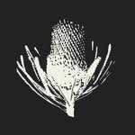 The Banksia Leeds