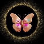 Social Butterfly International