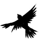 Broken Wing Club