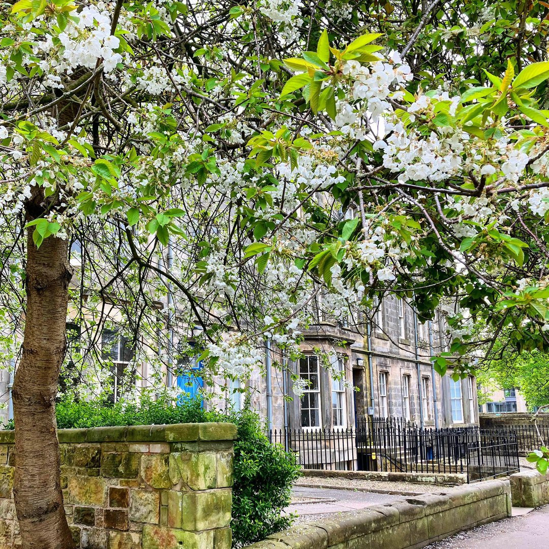 School of History